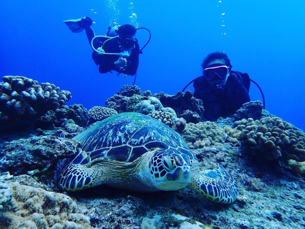 Good Hostel 好棧 Green Island Eksteriør bilde